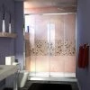 Best Sale 👏 DreamLine Visions 60 in. Frameless Sliding Shower Door with Clear Glass in Polished Chrome 🌟 -DreamLine Sales Store Query 1767